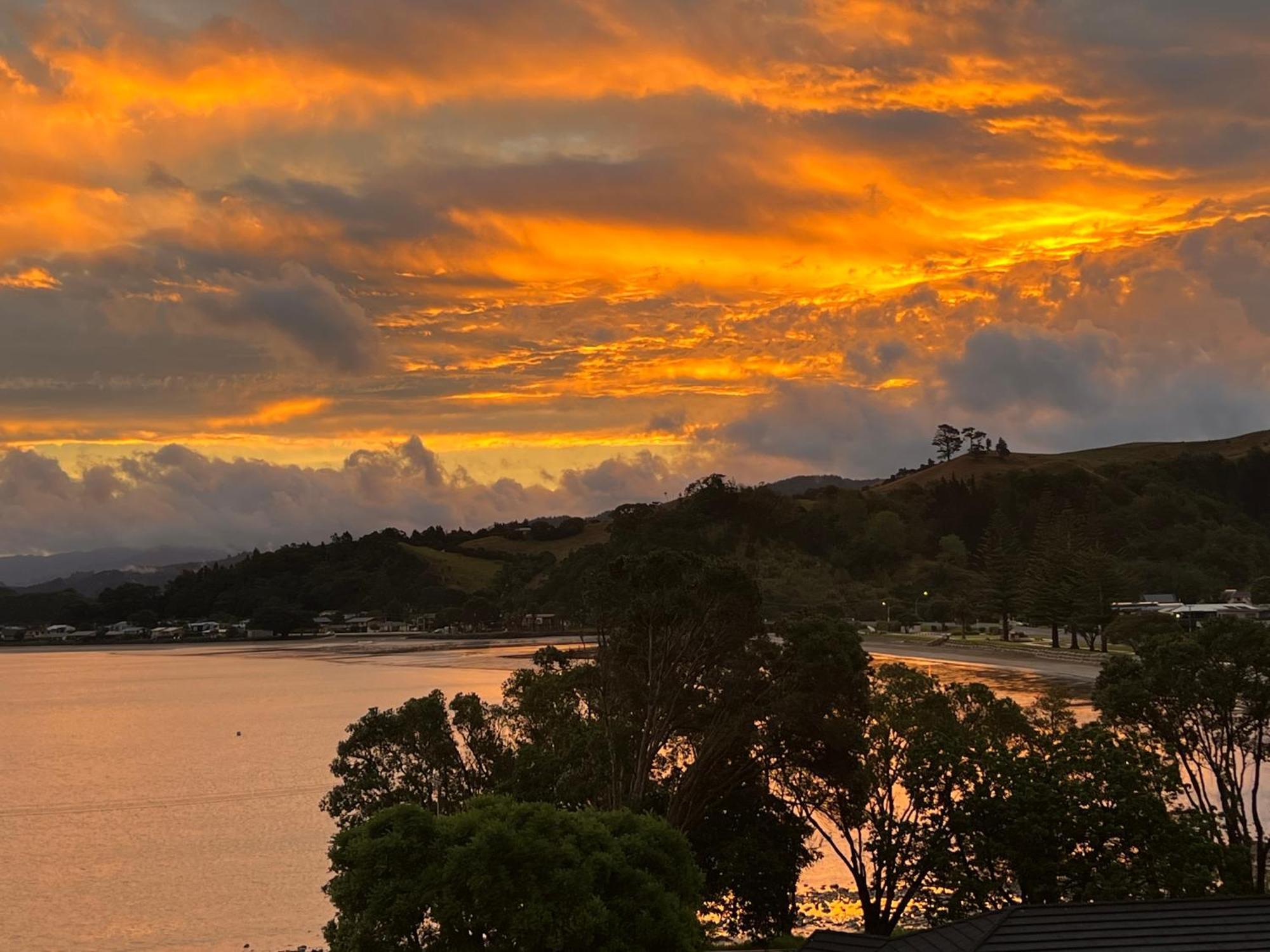 Brophys Beach Studio Whitianga Exteriör bild